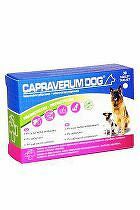 CAPRAVERUM DOG probioticum-prebioticum 30tbl