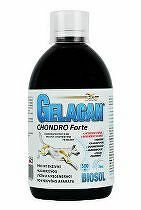 Gelacan Chondro Forte Biosol 500ml