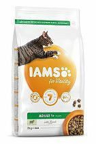 Iams Cat Adult Lamb 2kg zľava