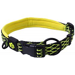 Active Dog mystic obojok M 2x44-55 cm limetka