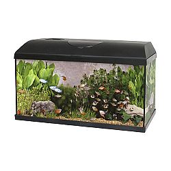 Akvarium Pacific 60x30x30 1x11W