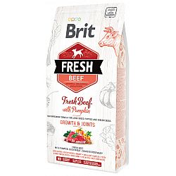 Brit Fresh granuly Puppy Large hovädzie a tekvica 2,5 kg