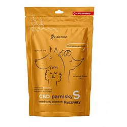 CurePoint CBD pamlsky Recovery S 100 g