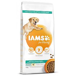 IAMS DOG AD WC CKN 12KG