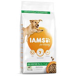 IAMS Dog Adult Large Lamb 3kg