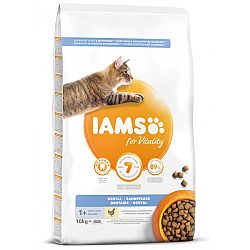 IAMS granuly pre dospelé mačky Dental kuracie 10kg