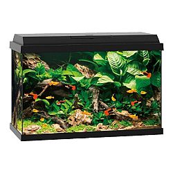 JUW Akvarium set Primo LED 70 cierne 61x31x44cm,70l