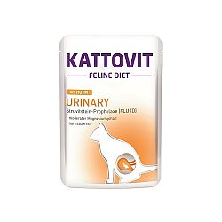 KATT Urinary konz. 85g kura