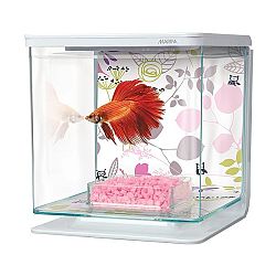 Marina Kit akvárium Betta floral 2 l