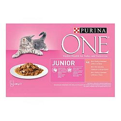 Purina One kapsička pre mačky Junior losos a mrkva 4 x 85 g