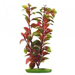 Rastlina 20cm Red Ludwigia