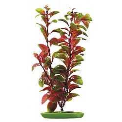 Rastlina 30cm Red Ludwigia