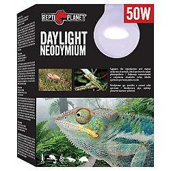 Repti Planet žiarovka Daylight Neodymium 50W