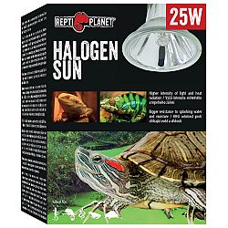 Repti Planet žiarovka Halogen Sun 25W