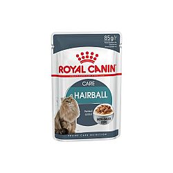 Royal Canin Feline Hairball Care 85g