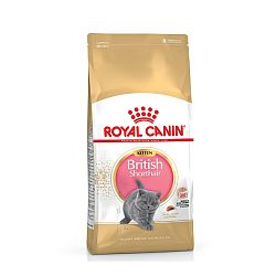 Royal Canin Kitten British Shorthair 2kg