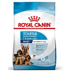 Royal Canin Maxi Starter 4 kg