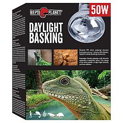 RP ziarovka Daylight Basking Spot 50W