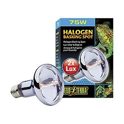 Ziarovka Halogen Basking Spot 75W