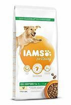 Iams Dog Adult Large Chicken 12kg zľava