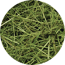 Lúčne seno RabbitWeed 1kg