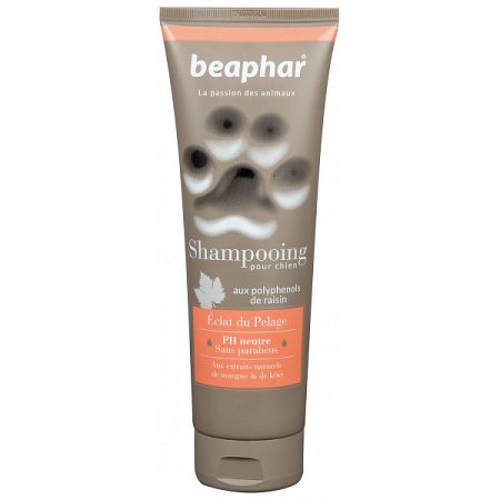 BEA SHAMPOOING BRILJANT 250ml