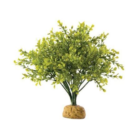 Exo Terra Boxwood Bush