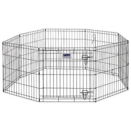 Ohradka Dog Park 2 - 61x91cm