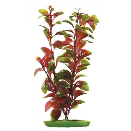 Rastlina 30cm Red Ludwigia