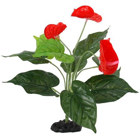 Repti Planet Rastlina Anthurium 40cm