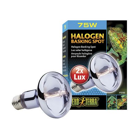 Ziarovka Halogen Basking Spot 75W